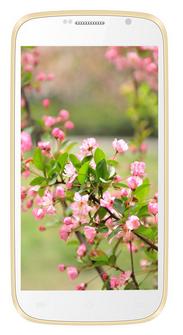 Karbonn A40 Plus price pic